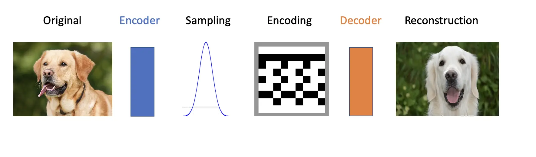An Introduction to Autoencoders and Variational Autoencoders ...