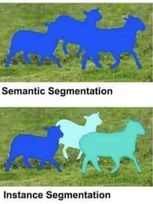 semantic segmentation vs instance segmentation